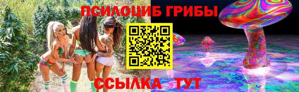 Сорочинск  Псилоцибиновые грибы Psilocybine cubensis  Вход с VPN  Галлюциногенные грибы Cubensis 