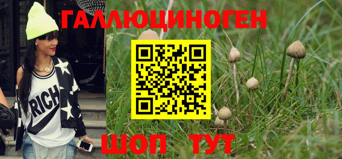 Галлюциногенные грибы Psilocybine cubensis Сорочинск